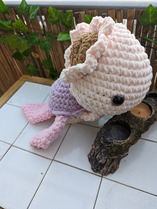 Tortue XL